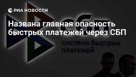 Чем опасна система быстрых платежей в Остин