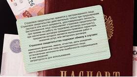 Что нужно для получения СНИЛС новорожденному ребенку в Остин