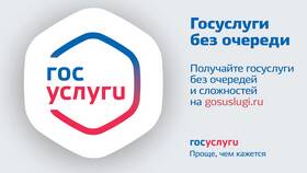 Что такое государственная услуга: определение в Остин