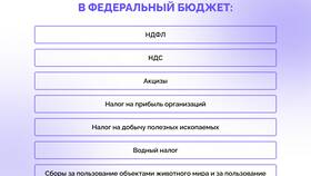 Что такое прямые налоги в Остин