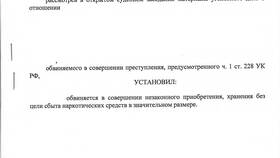 Что такое суд штраф в Остин