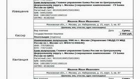 Если госпошлину оплатил другой человек: что делать в Остин