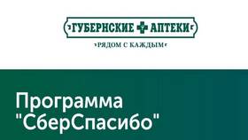 Как использовать бонусы «СберСпасибо» в Остин