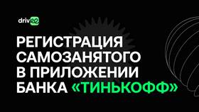 Как оформить разрешение перевозчика самозанятому в Остин