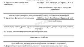 Как подать на выплату по родам в Остин