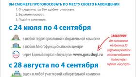 Как подать заявление для голосования через Госуслуги в Остин