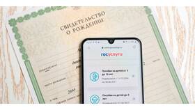 Как подать заявление в ясли через Госуслуги в Остин