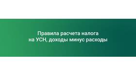 Как подтвердить доходы при УСН: документы и порядок действий в Остин