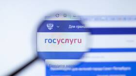 Как получить справку о стаже через Госуслуги в Остин