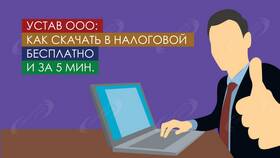 Как получить устав организации в ФНС в Остин