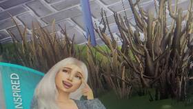 Как получить визу в The Sims в Остин