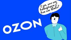 Как работать водителем в службе доставки Ozon в Остин