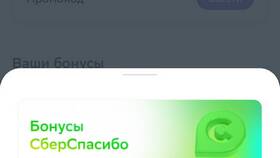 Как списать бонусы «СберСпасибо» в «Еаптеке» в Остин