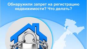 Как установить запрет на операции с недвижимостью в Остин