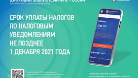 Как узнать сумму налогов к уплате в Остин