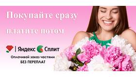 Как узнать условия рассрочки Сплит на Яндекс Маркете в Остин