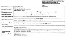 Как выглядит справка о судимости через Госуслуги в Остин