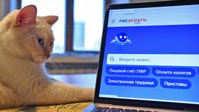 Как заказать выписку через интернет в Остин