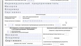 Как заполнить декларацию по упрощенной системе налогообложения в Остин