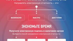 Отчетность ИП: за что и перед кем отчитывается предприниматель