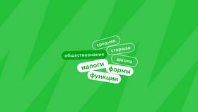 Почему мы платим налоги: кратко обществознание