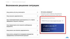 Почему на сайте ФССП нет задолженности в Остин
