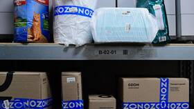 Почему Ozon задерживает доставку заказов в Остин