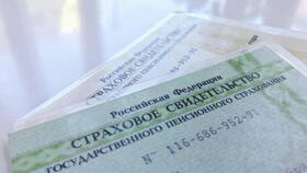 Почему СНИЛС могут быть разными в Остин