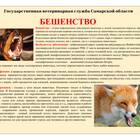 Чем можно отправить лису: законные способы транспортировки